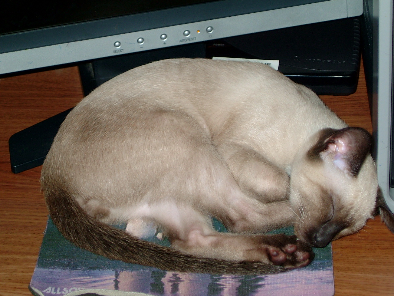 2006-08-10 01-57-56332.jpg