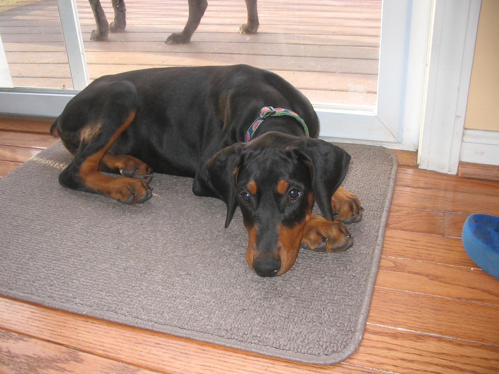 2006-08-22 05-51-10315.jpg