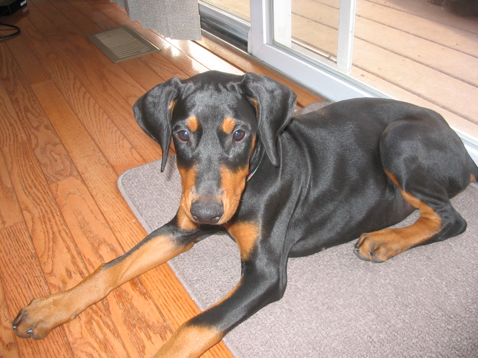 2006-08-22 05-51-50314.jpg