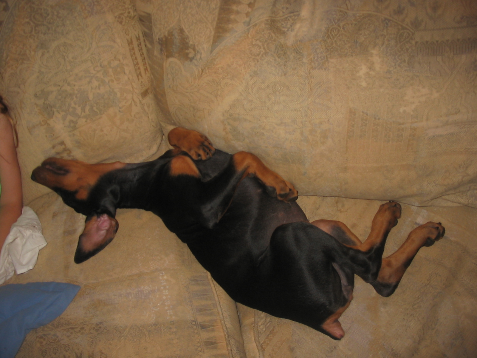 2006-08-23 09-39-11301.jpg