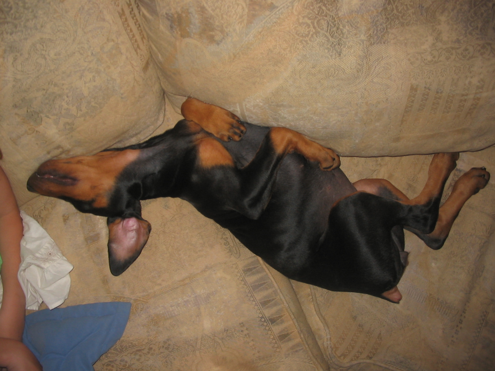 2006-08-23 09-40-51299.jpg