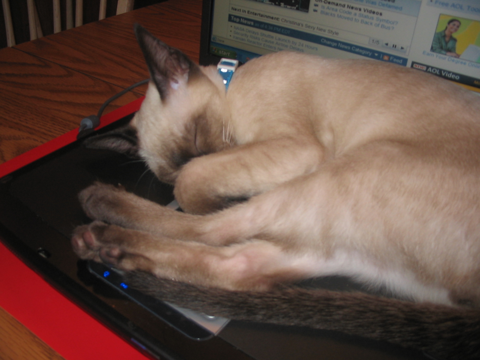 2006-08-27 03-49-28268.JPG