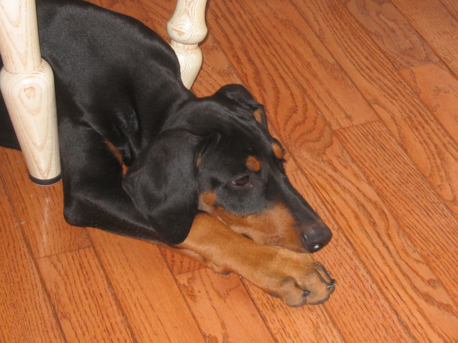 2006-08-28 01-23-10265.jpg