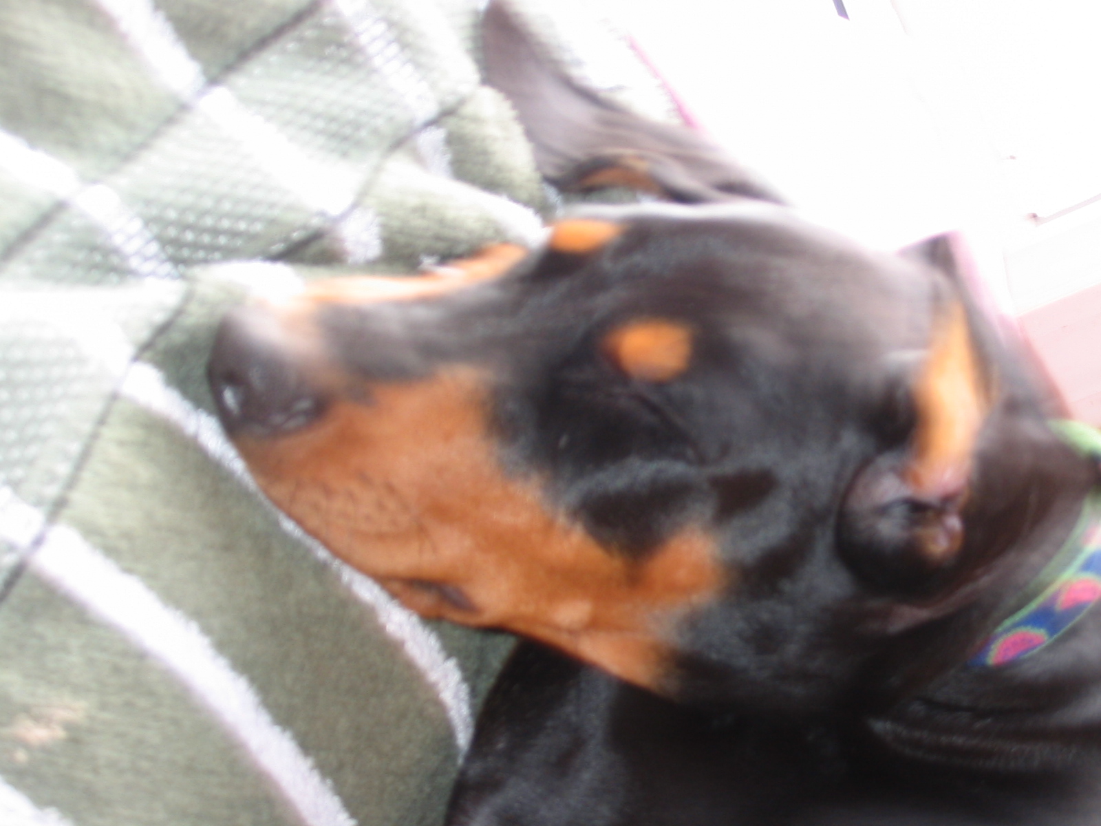 2006-09-01 05-11-16241.jpg