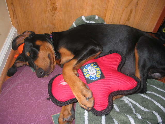 2006-09-01 05-37-04239.jpg