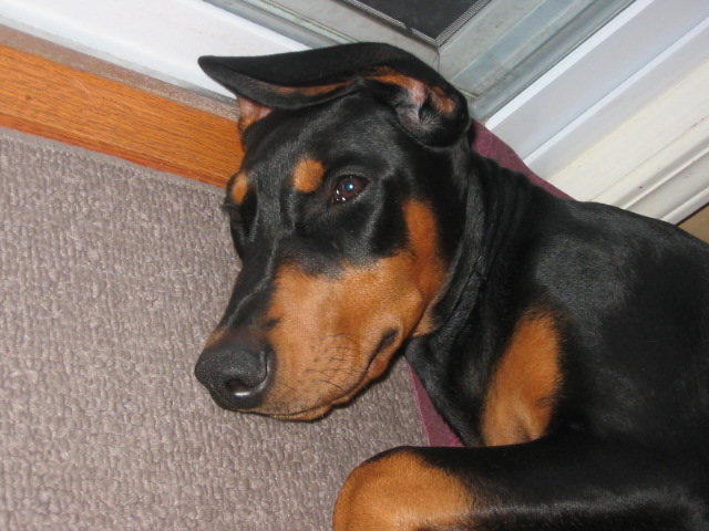 2006-09-15 21-05-07231.jpg