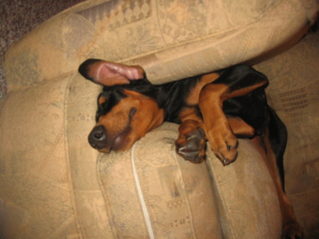 2006-09-21 08-22-01230.jpg