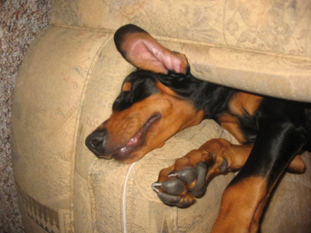 2006-09-21 08-23-54228.jpg