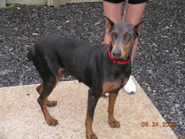 2006-09-24 11-56-43219.jpg