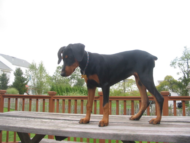 2006-09-28 00-10-29216.jpg