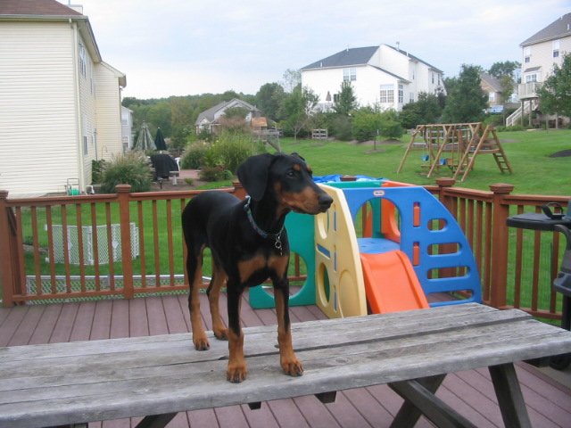 2006-09-28 00-11-44215.jpg