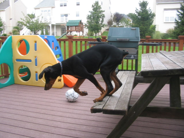 2006-09-28 00-13-08213.jpg