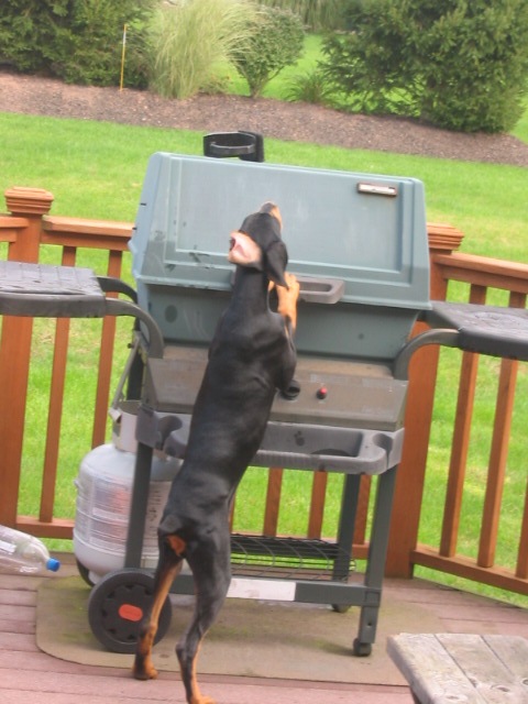 2006-09-28 20-46-51210.jpg