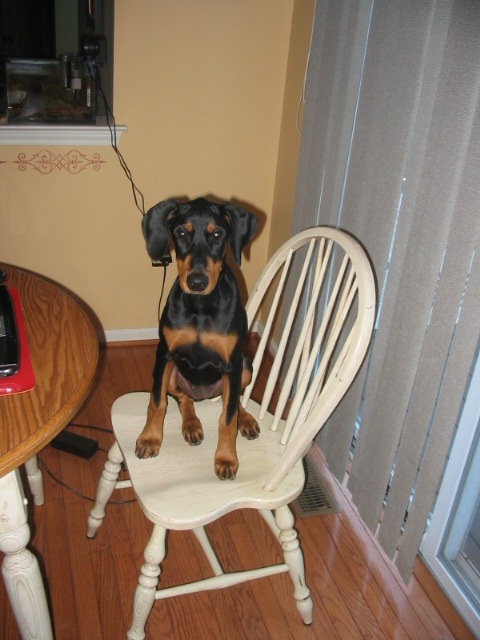 2006-09-30 05-16-51209.jpg