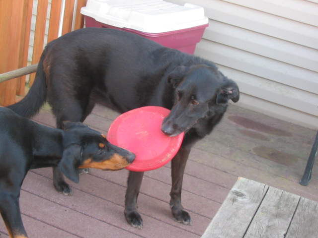 2006-10-04 02-17-58208.jpg