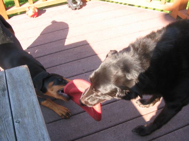 2006-10-04 02-18-11207.jpg