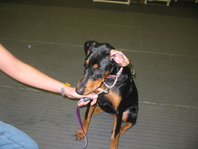 2006-10-11 07-00-22168.jpg