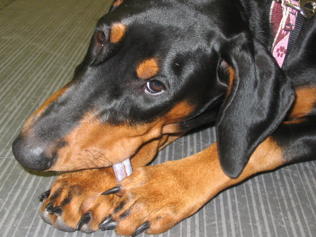 2006-10-11 07-11-34165.jpg