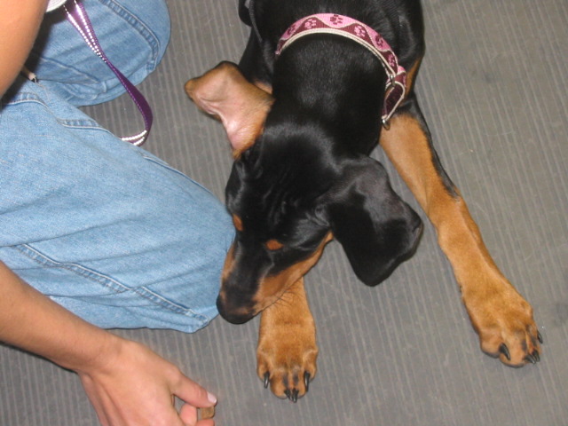 2006-10-11 07-23-50163.jpg