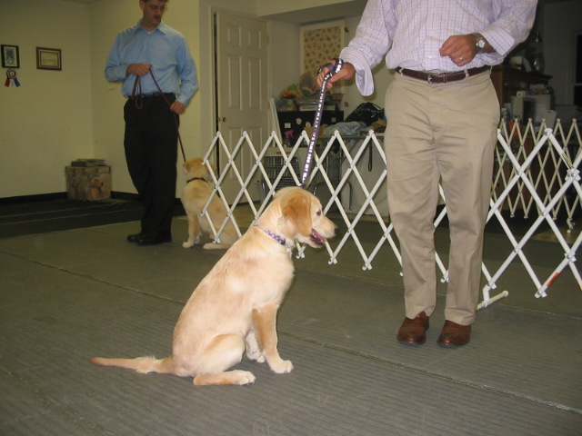 2006-10-11 07-32-31161.jpg