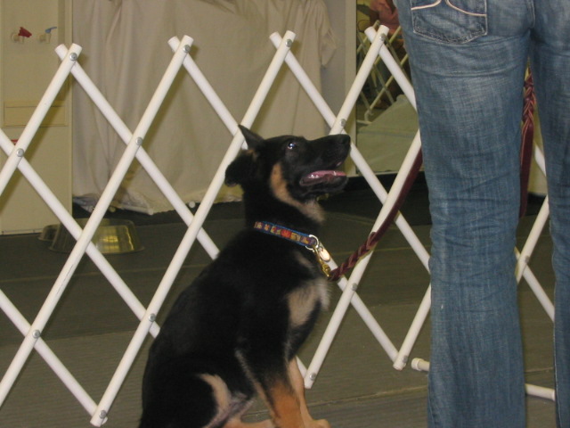 2006-10-11 07-35-58160.jpg