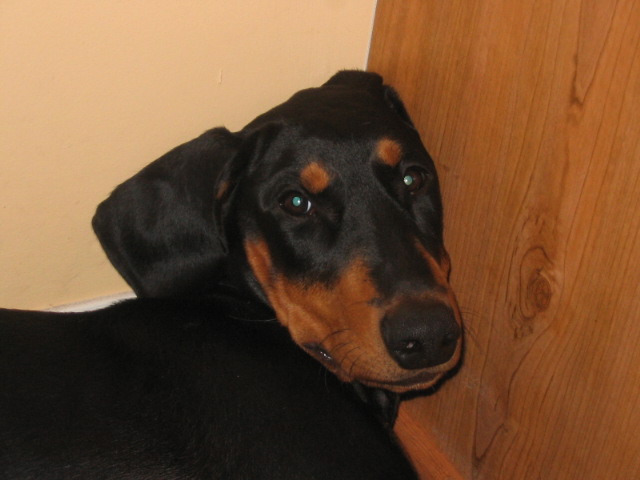 2006-10-12 02-53-00159.jpg