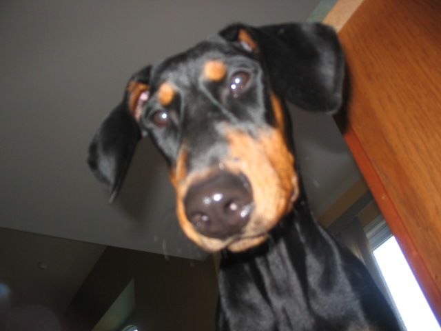 2006-10-27 03-14-17157.jpg