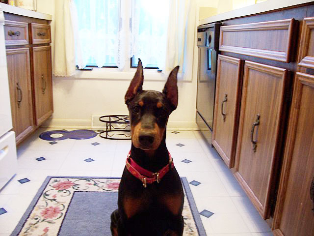 2006-10-27 22-15-27155.jpg