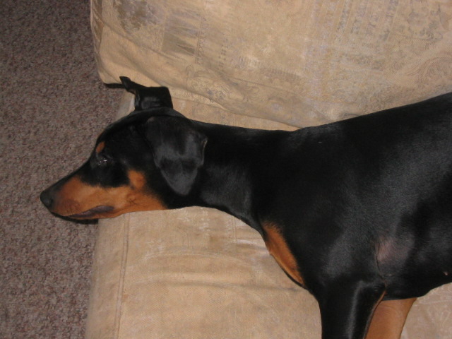 2006-10-29 02-47-10152.jpg