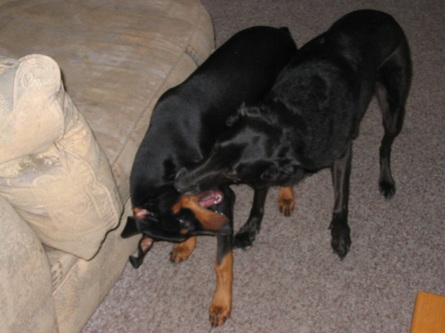 2006-10-29 02-48-02151.jpg