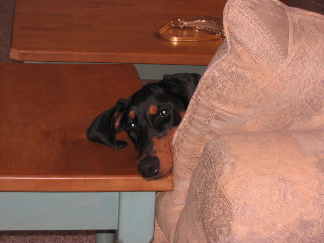 2006-11-05 22-11-14143.jpg