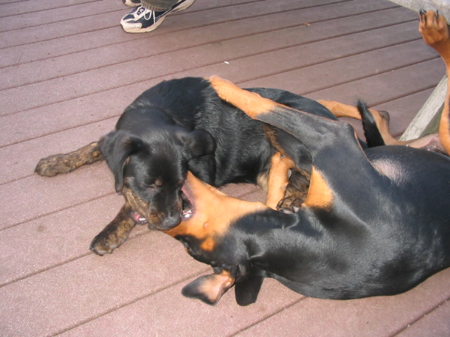 2006-11-11 03-57-21141.jpg