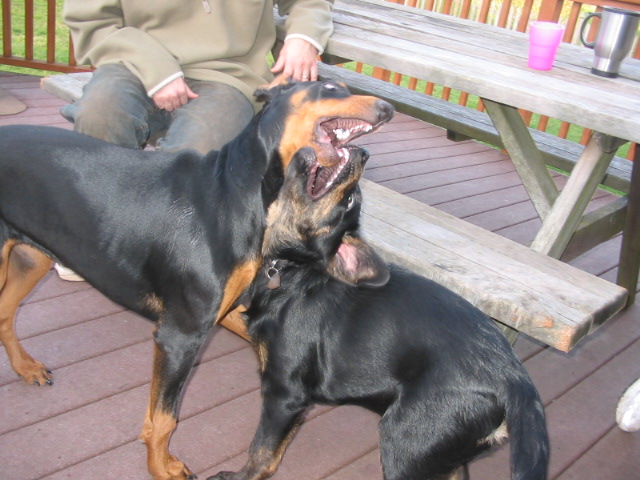 2006-11-11 03-57-58140.jpg