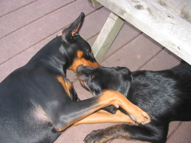 2006-11-11 03-59-19138.jpg