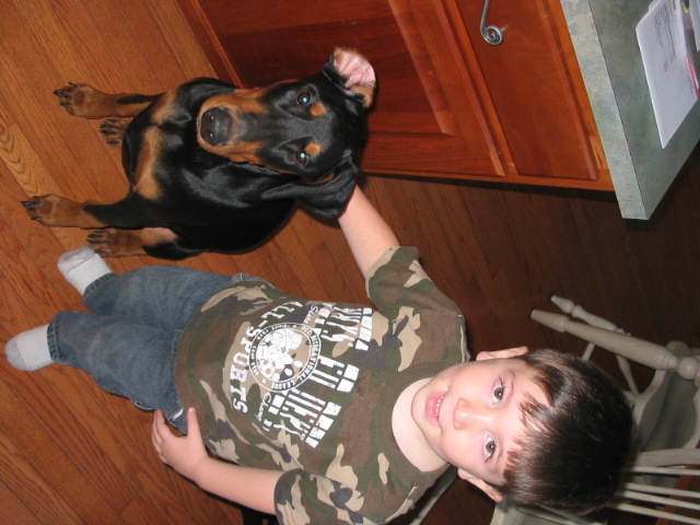 2006-11-11 04-19-40137.jpg