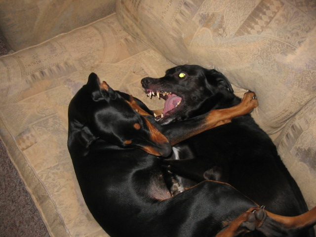 2006-11-12 07-59-06133.jpg