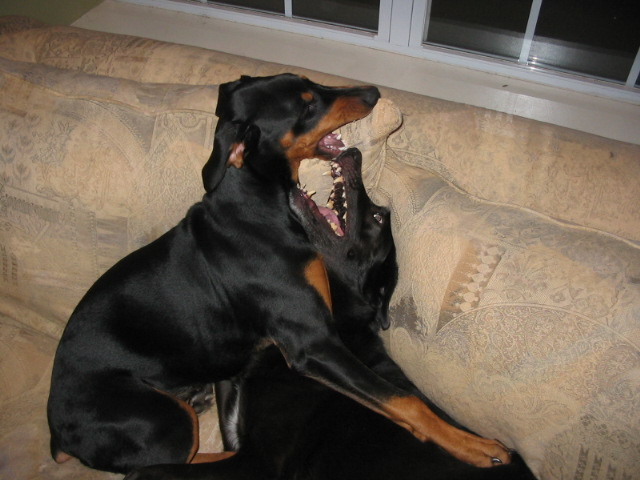 2006-11-12 08-00-30132.jpg