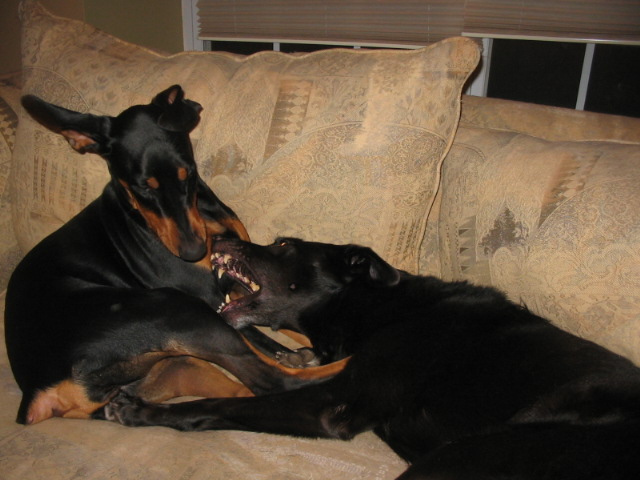 2006-11-12 08-00-57131.jpg