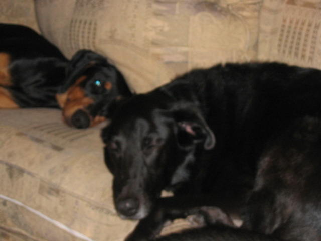 2006-11-13 06-42-01128.jpg