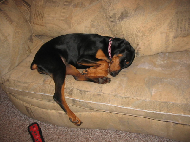 2006-11-16 05-52-58126.jpg