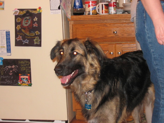 2006-11-24 05-02-29122.jpg