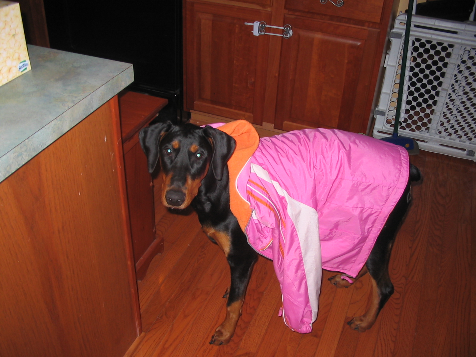 2006-12-06 02-28-37113.jpg