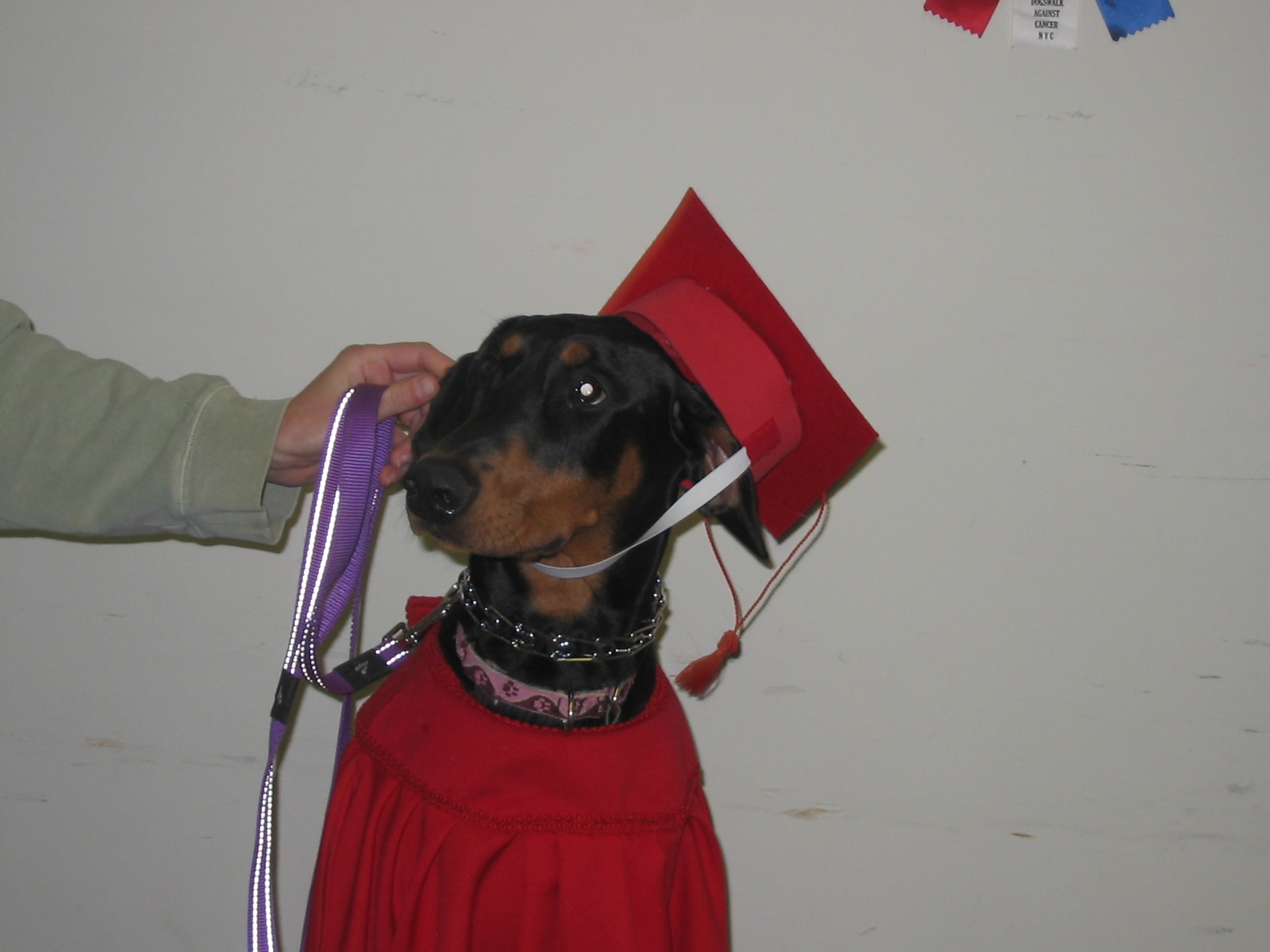 2006-12-06 08-07-33112.jpg