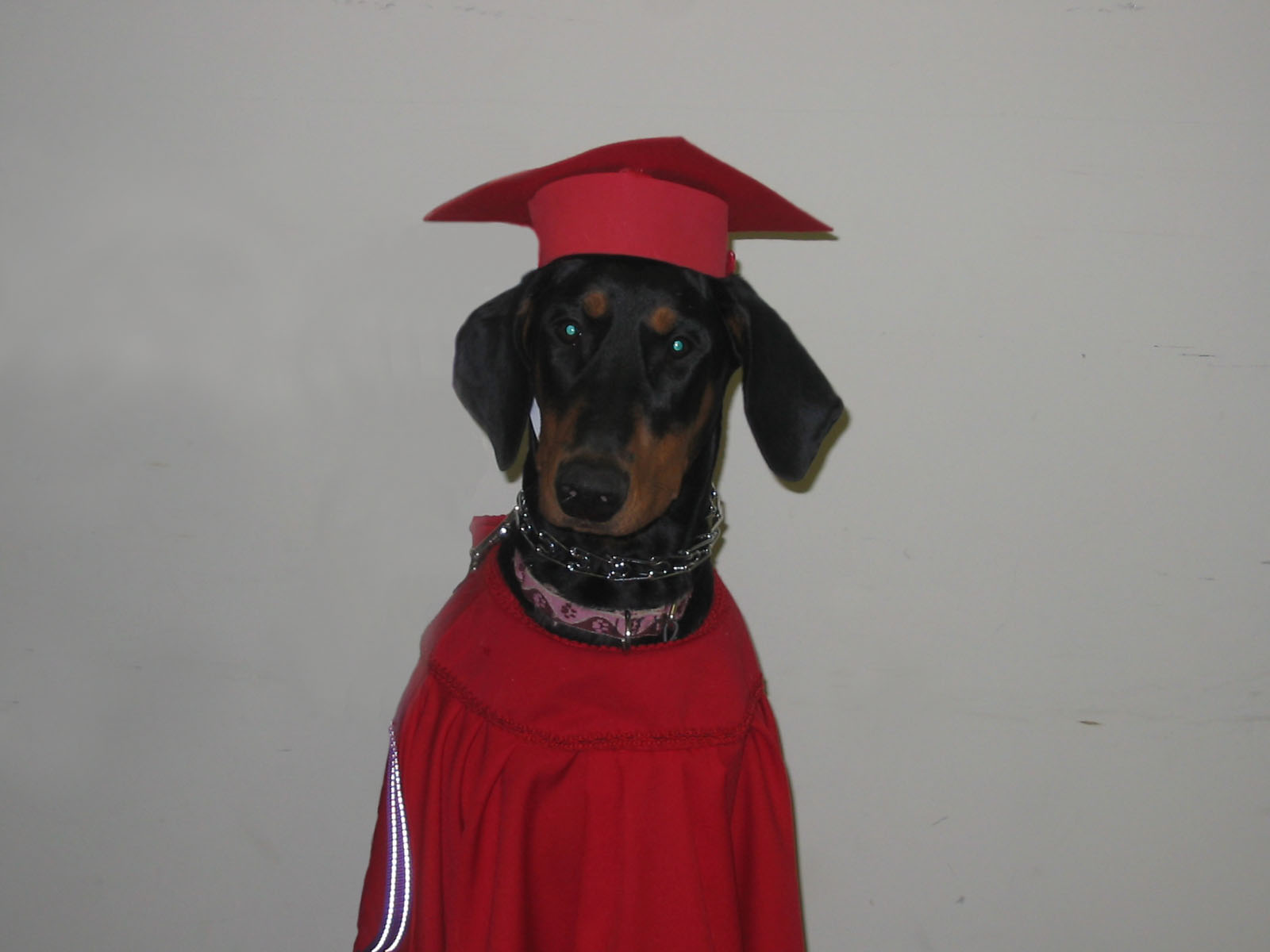 2006-12-06 08-07-40111.jpg