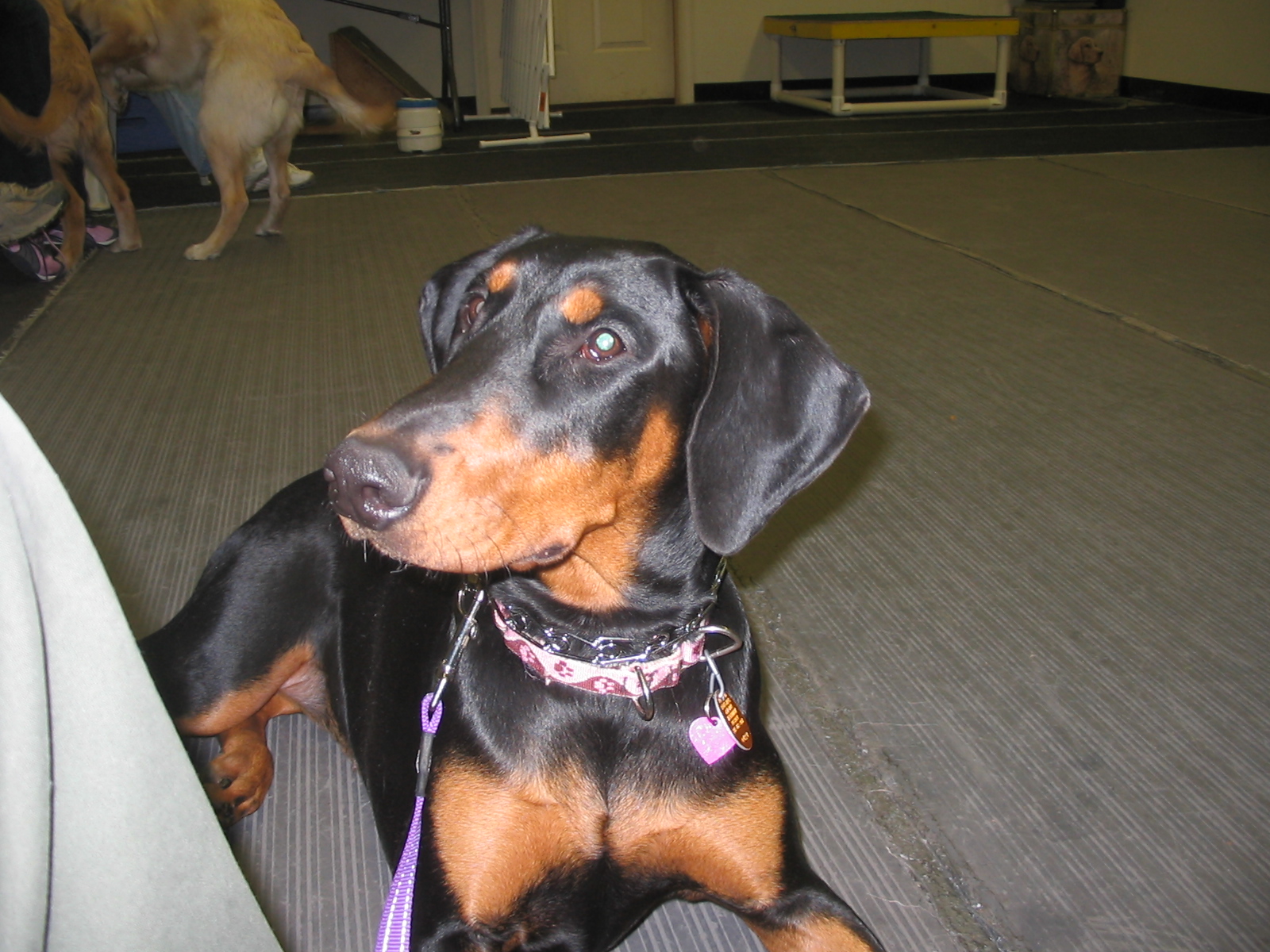 2006-12-06 08-12-47110.jpg