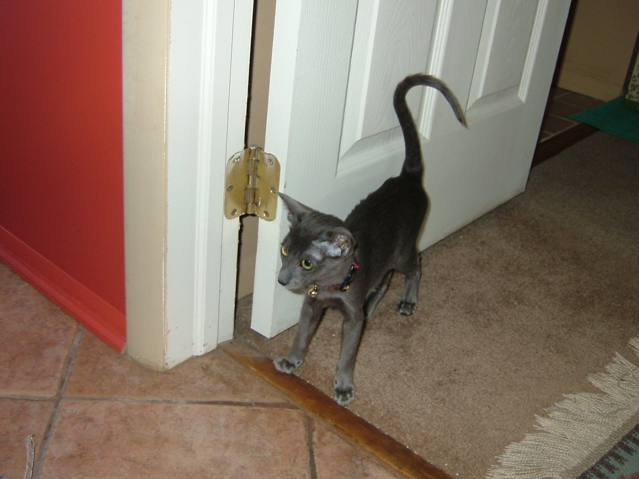 2008-03-09 11-57-0685.JPG