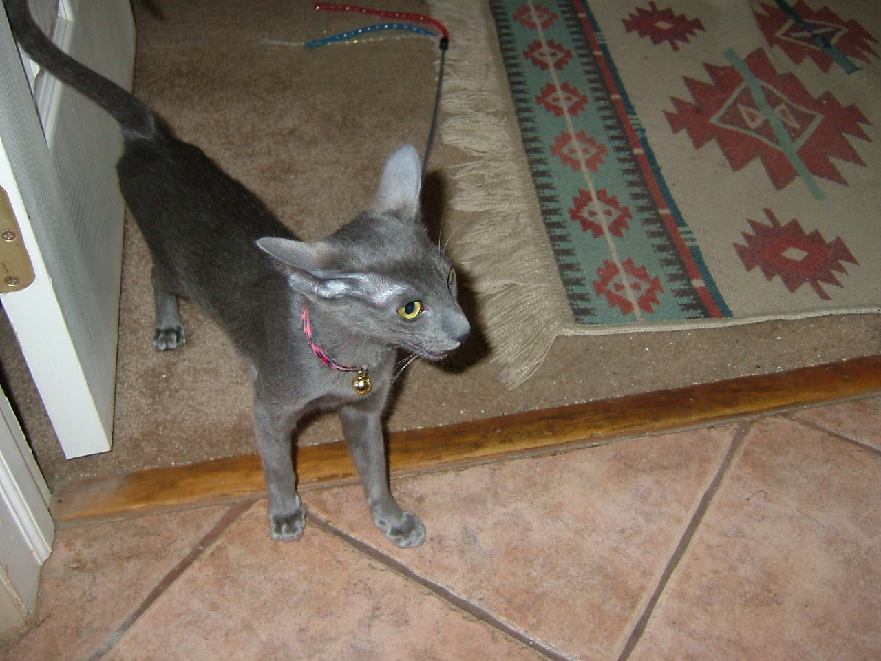 2008-03-09 11-58-5884.JPG