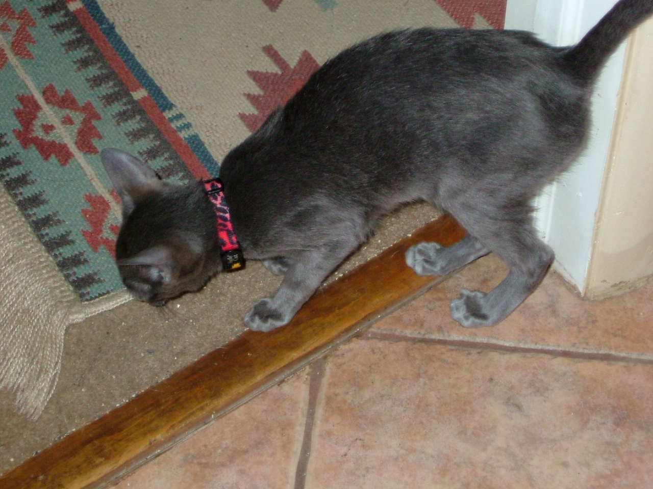 2008-03-09 12-01-4382.JPG