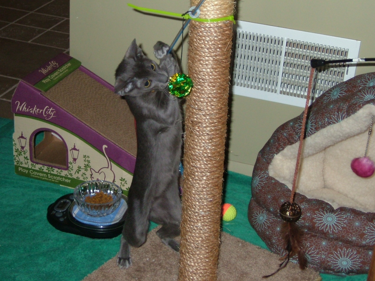 2008-03-11 13-45-1875.JPG