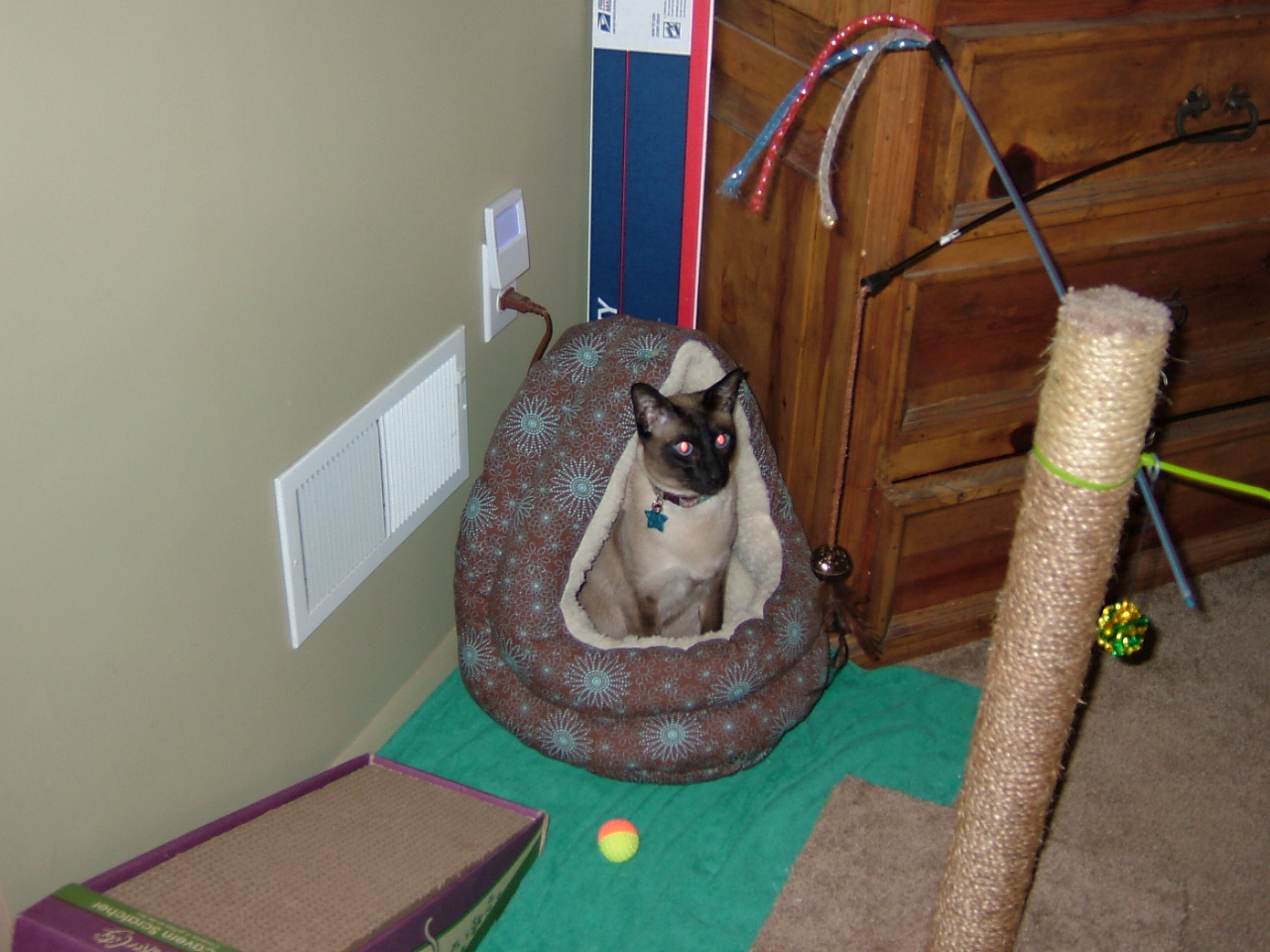 2008-03-14 16-08-5470.JPG